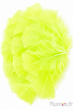 Tacchina - 6-8 cm - anice